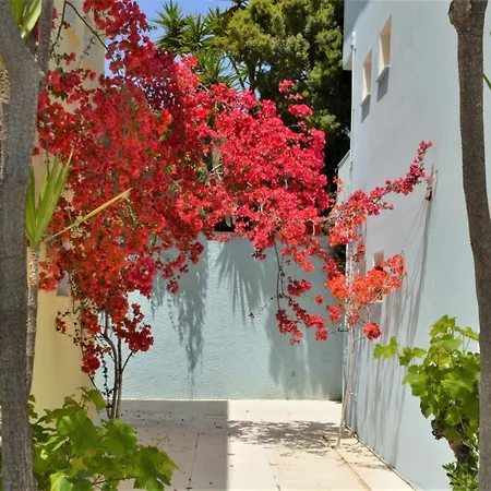 Meraki And דירה *