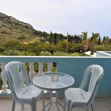 Meraki And * טולון